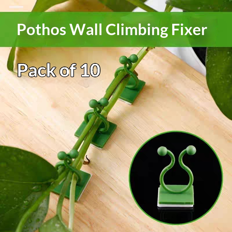 Vine Climbing Plastic - Selbstklebende Pflanzen-Kletterwand-Befestigungsclips, Ranken-Rattan-Fixierhaken, bohrfreier Pflanzen-Organizer für