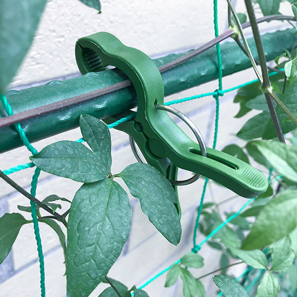 Vine Climbing Plastic - 60 Stück Gartenpflanzenklammern aus Kunststoff zur